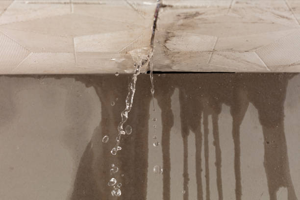 Professional Sewage Cleanup technician working in Churchville, NY